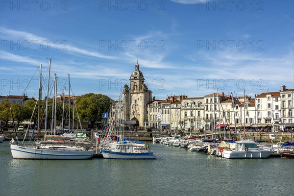 Vieux Port with Great Clock Tower