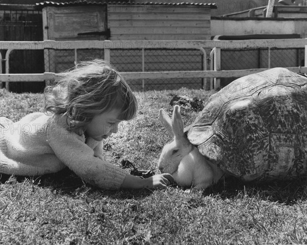 Child playing with rabbits