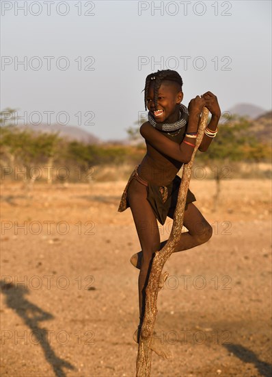 Himbamadchen climbs on a dry tree