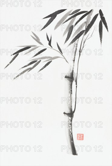 Bamboo stalk with leaves