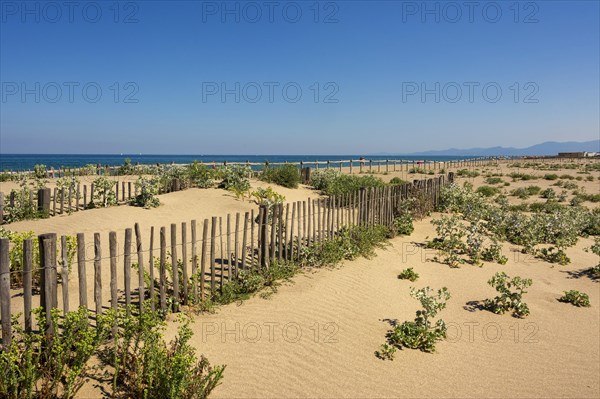 Fences for the protection of the dunes
