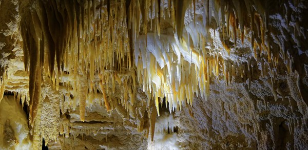 Small stalactites in the dripstone cave Aranui Cave