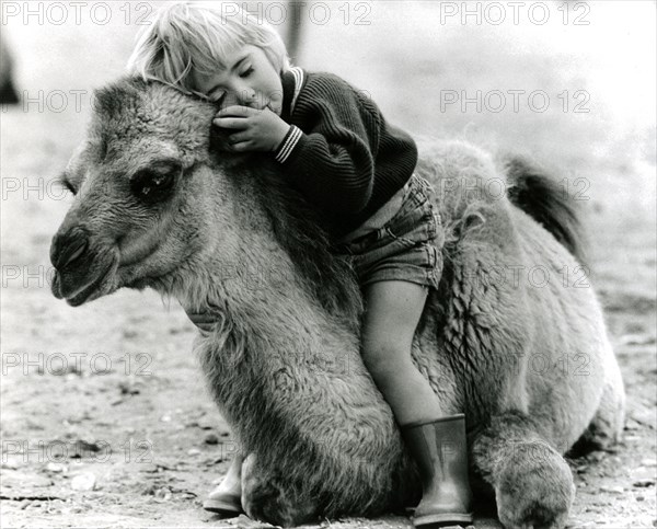 Child sleeps on camel