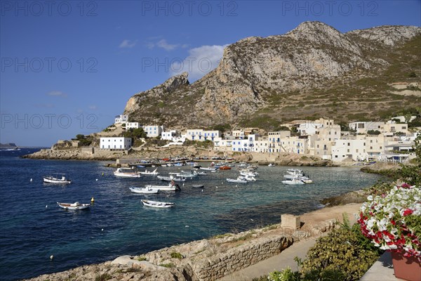 Port of Levanzo