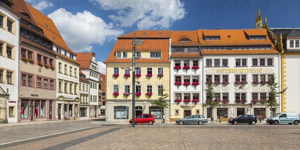 Historic houses at the Obermarkt in Freiberg