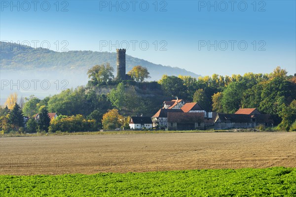 Landscape with morning fog in autumn