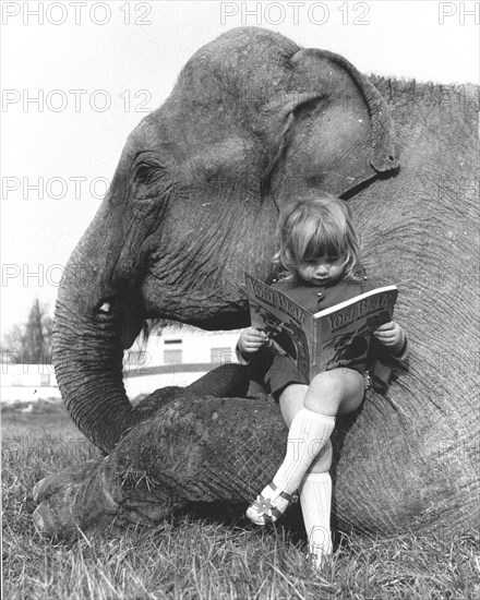 Girl sits on elephant and reads