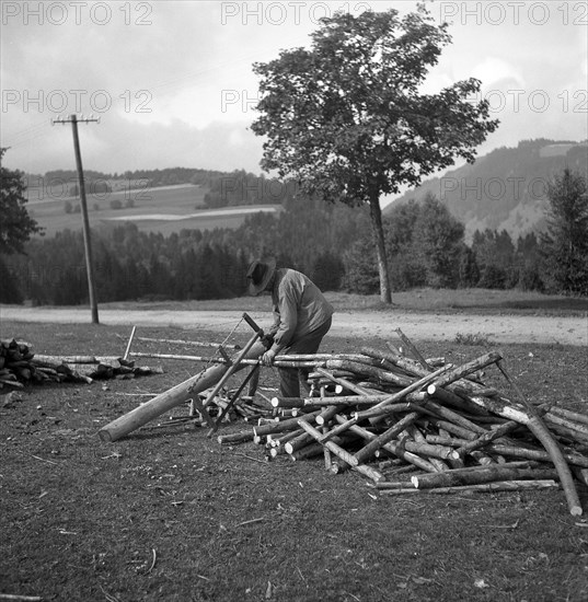 Man saws wood