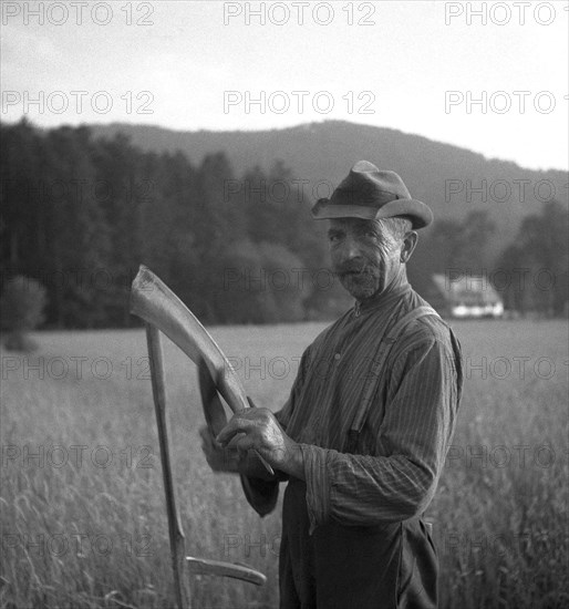 Man stands on the field and looks into the camera while sharpening a scythe with a knife