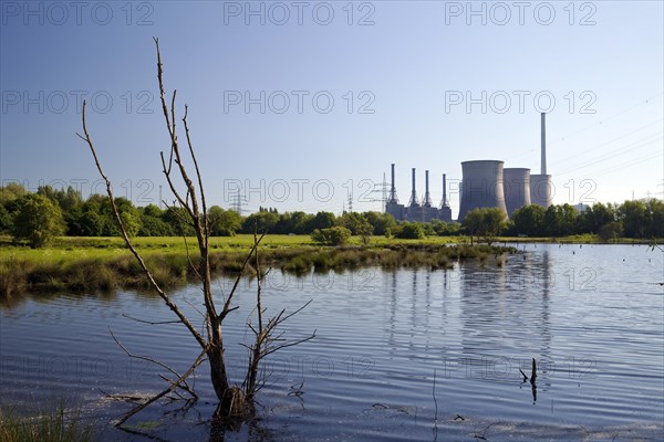 Tibaum nature reserve in Hamm in front of the power plant Gersteinwerk in Werne