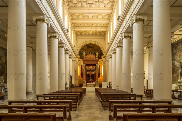 Nave