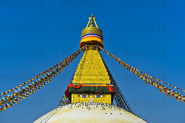 Boudhanath Stupa with birds
