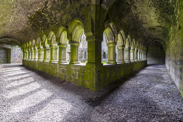 Cloister