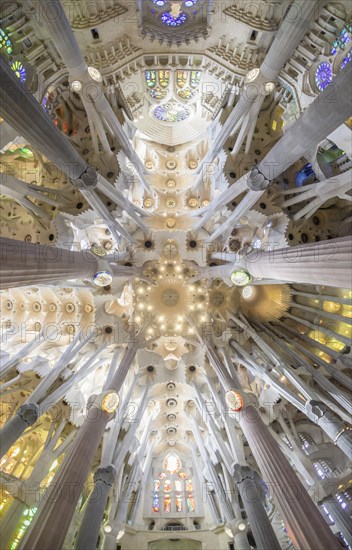 Interior view of the Sagrada Familia by Antoni Gaudi