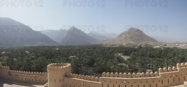 View over wall with battlements to palm oasis and Hajar Mountains