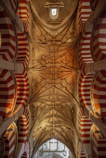 Stucco ceiling of the columned hall with round arches