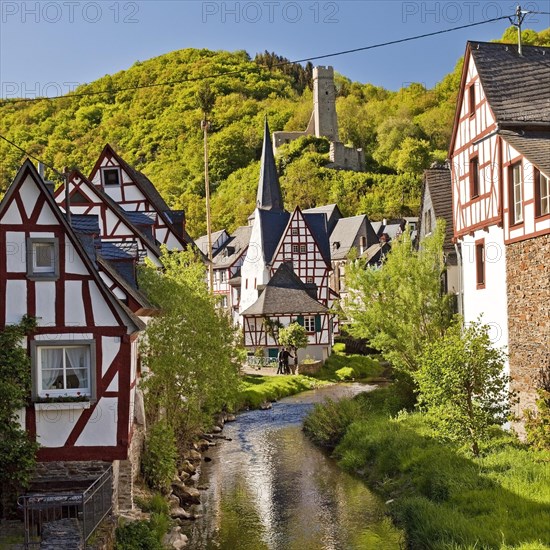 Historic town center with half-timbered houses on Elzbach and the ruins of the Lion Castle