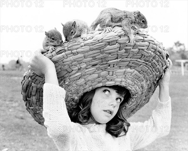 Chipmunks sitting on a girl's straw hat