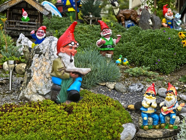 Several Garden gnomes