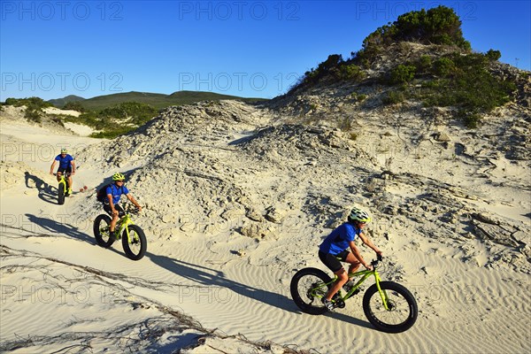 Mountain biking on fat bikes through dunes