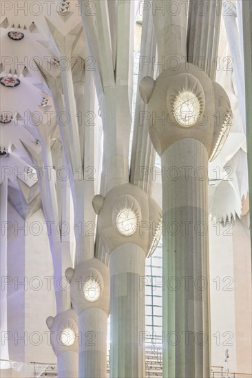 Interior view of the Sagrada Familia by Antoni Gaudi