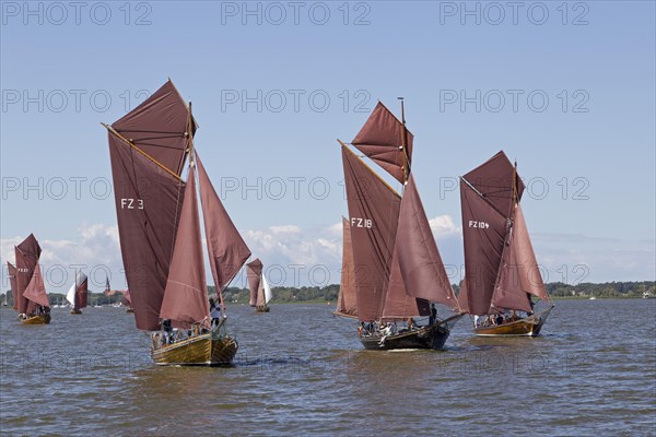 Zeesboots on Saaler Bodden