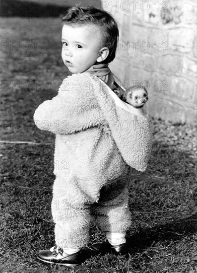 Toddler wears ferret in hood