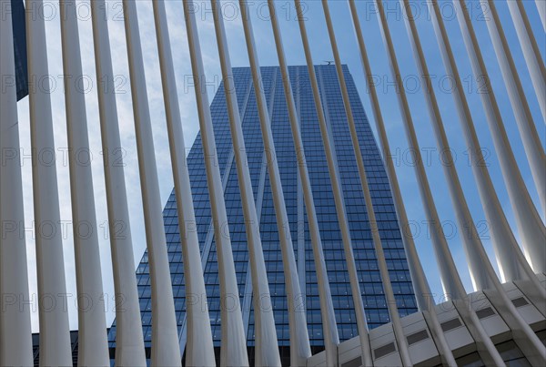 Oculus Station and 3 World Trade Center