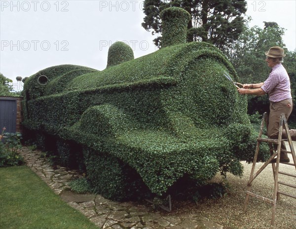 Gardener cuts draught from hedges