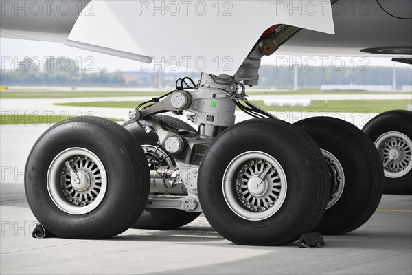 Main landing gear