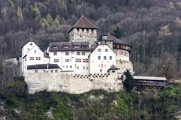 Castle of Vaduz