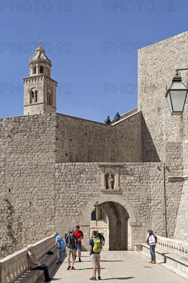 Ploce Gate