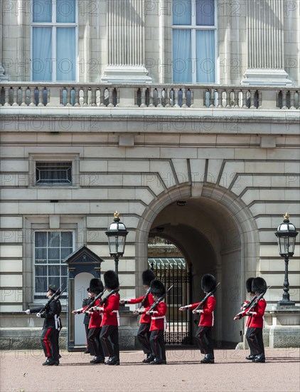 Guardsmen of the Royal Guard with bearskin cap