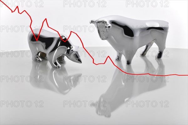 Symbol image Share price bull and bear