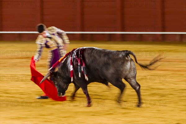 Racing bull with Matador