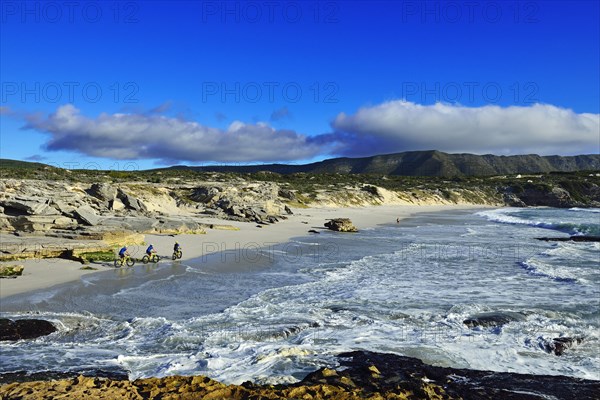 Mountain bikers with Fatbikes at the beach