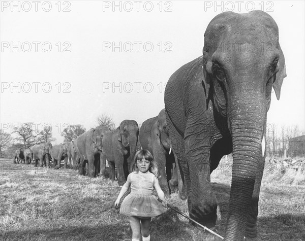 Girl with elephants