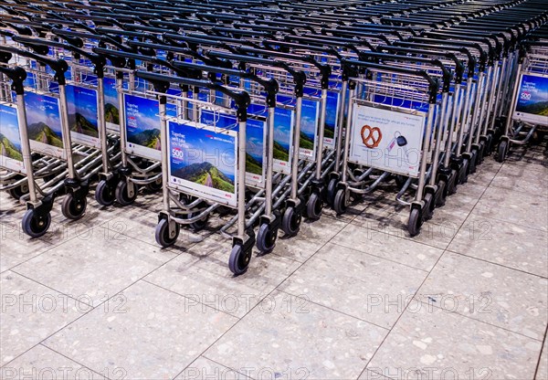 Baggage carts in line