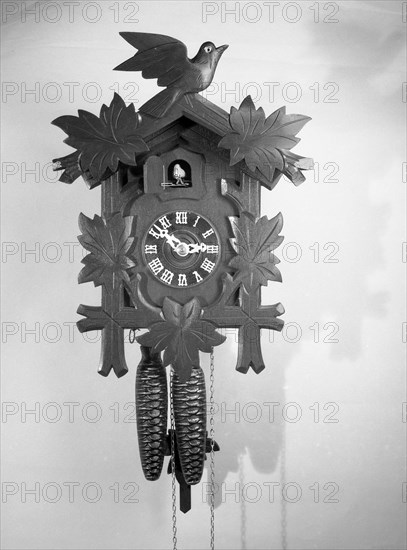 Cuckoo clock