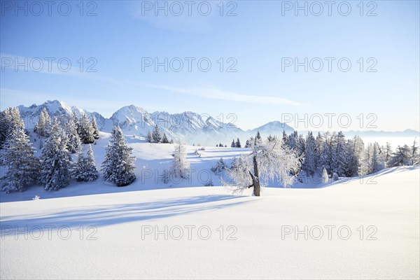 Winter landscape