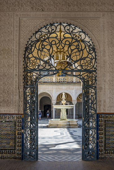 Entrance door