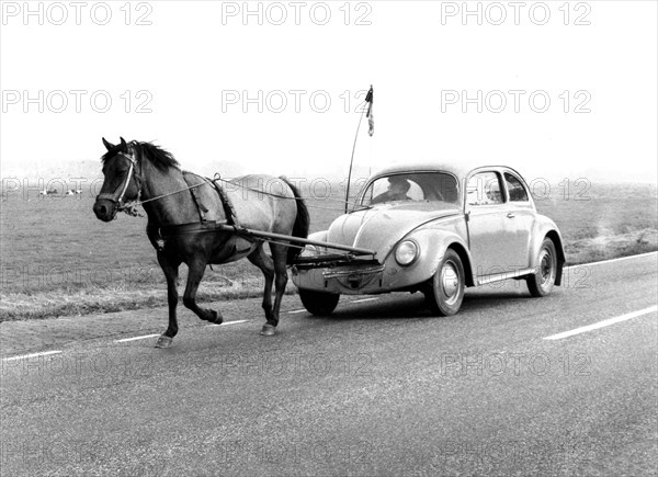 Horse pulls a VW Beetle