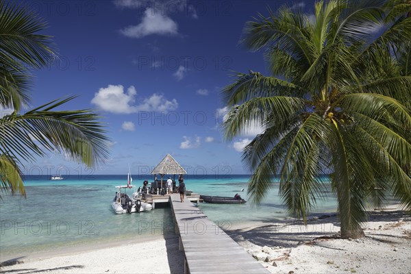 Top Dive Center with inflatable boat at the pier