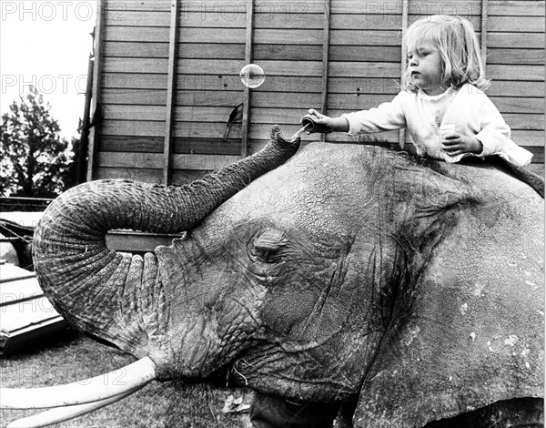 Child sitting on elephant's back