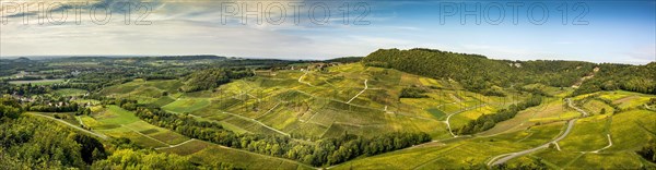 Vineyards of Chateau-Chalon