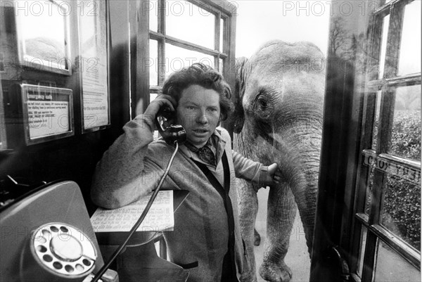 Man with elephant in a telephone booth