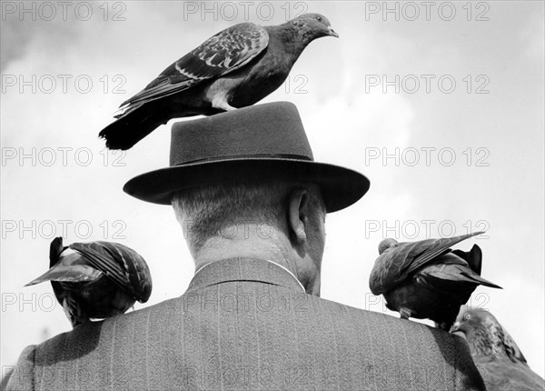 Pigeons on head and shoulder ca. 1955