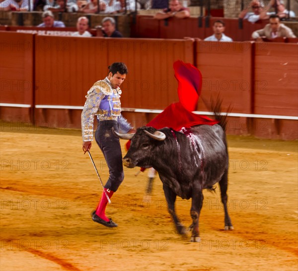 Racing bull with matador