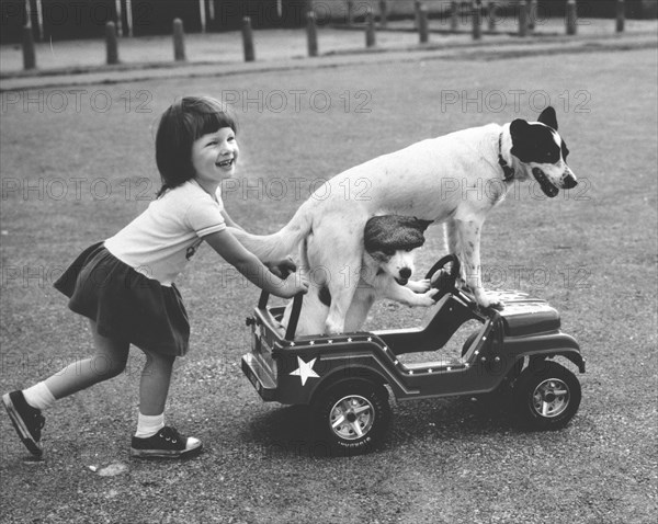 Girl pushes carriage with two dogs