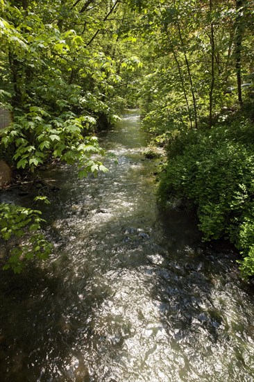 River Dussel im Neandertal